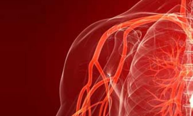 Instituto de Angiologia e Cirurgia Vascular - Foto 1