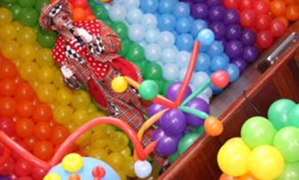 Aladdin Organização e Animação de Festas e Eventos - Foto 1