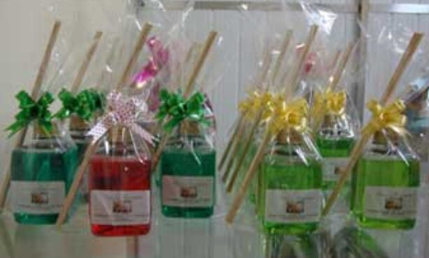 Tulipa Essências - Foto 1