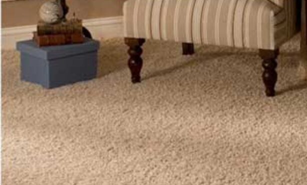 Cd Comércio de Carpetes e Tapetes - Foto 1