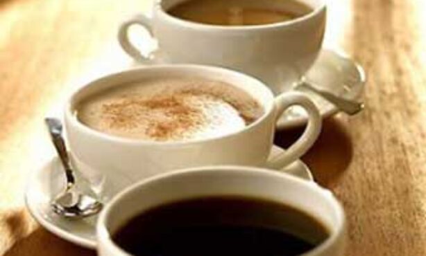 Bebo Mate Casa de Chá - Foto 1