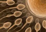 clinicas-de-fertilizacao-humana-curitiba-1418068721