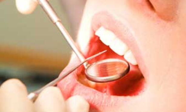 Alceu David Pacheco Junior - Foto 1