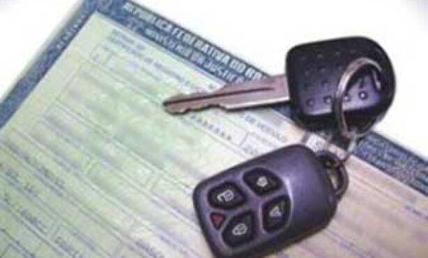 Betal & Marc Despachantes - Foto 1