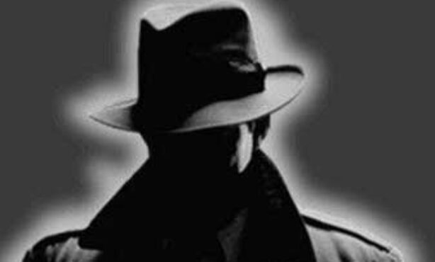 Agência de Investigacao Particular Falcão - Foto 1