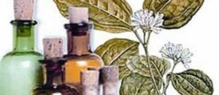 farmacias-de-homeopatia-curitiba-1418125209
