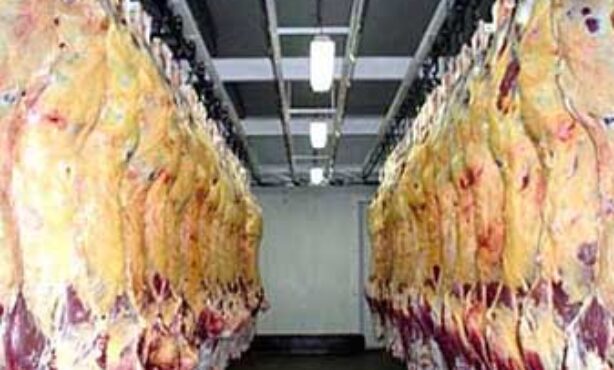 Frigorífico Sereno - Foto 1