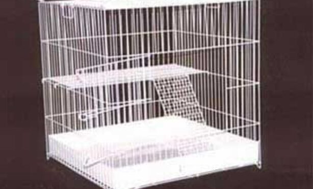 Gaiolas Xaxim - Foto 1