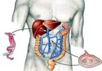 gastroenterologia-e-gastroenterologistas-curitiba-1418125875