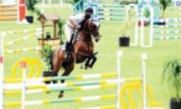 Haras FB - Foto 1