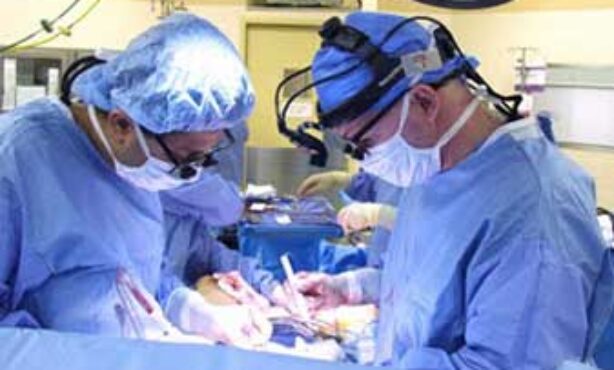 Hospital de Clínicas da Ufpr - Foto 1