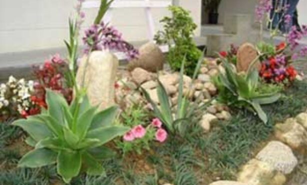 Brisa Servicos de Jardinagem - Foto 1