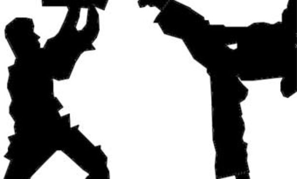 Sol Karatê e Ginástica Júlio César Bassan - Foto 1