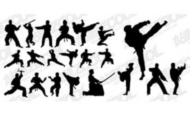 Instituto Fu Hok de Cultura Chinesa - Foto 1