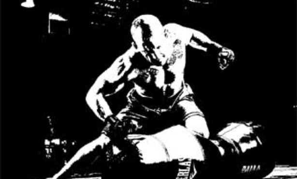 Cenário Black Belt Mma School - Foto 1