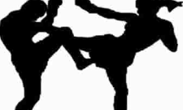 Tanoshi Martial Arts - Foto 1