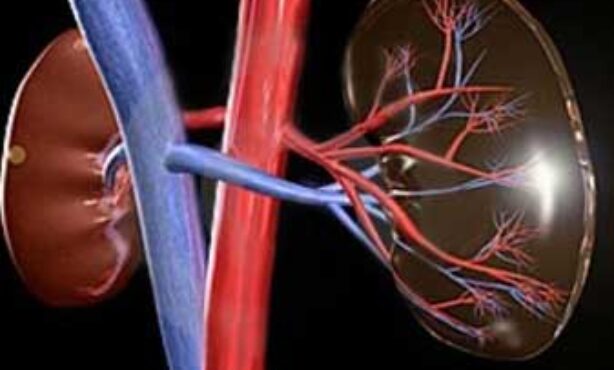 Cenu Centro de Nefrologia e Urologia - Foto 1