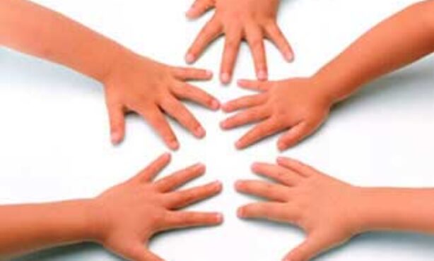 Ong Um Lugar Ao Sol - Foto 1