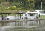 pesqueiros-curitiba-1417954584