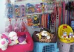 petshop-curitiba-1417801365