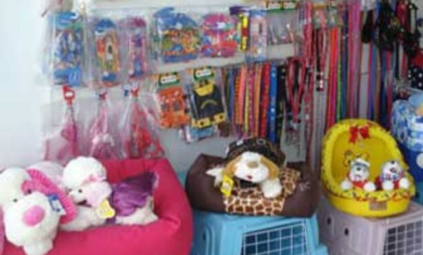 Panda Pet Shop - Foto 1