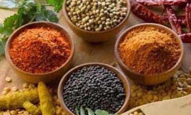 Fimisterra Produtos Naturais - Foto 1