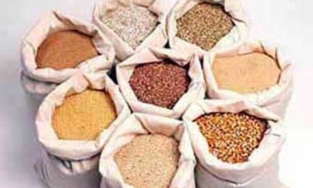 Leone Rações - Foto 1