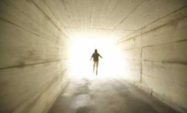 Terapia Floral de Regressão e Vidas Passadas - Foto 1