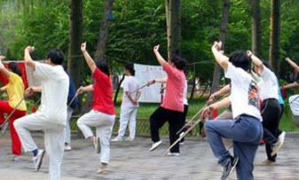 Centro de Qualidade de Vida Gaya - Foto 1