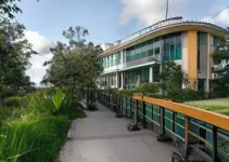 Hospital Veterinário Municipal em Curitiba