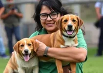 apoio a protetores de animais em Curitiba