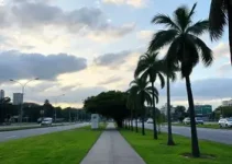 Nova Via Calma de Curitiba