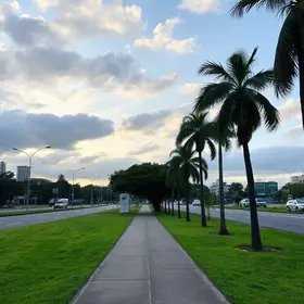 Nova Via Calma de Curitiba