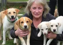 PCPR maus-tratos animais