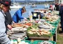 pontos de pescados Curitiba