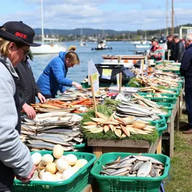 pontos de pescados Curitiba