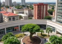 plantão de atendimento Curitiba