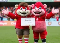 mascotes do terceiro setor