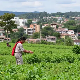 Jornada de Agroecologia