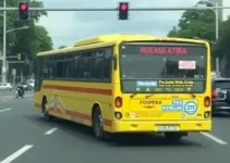 ônibus ligeirinho