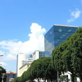 transparência e governança pública
