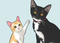 vacinação gratuita cães gatos Curitiba