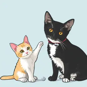 vacinação gratuita cães gatos Curitiba