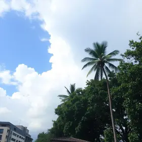 previsão do tempo em curitiba