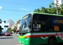 ônibus gratuito Curitiba eleições