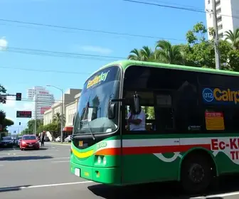 ônibus de graça